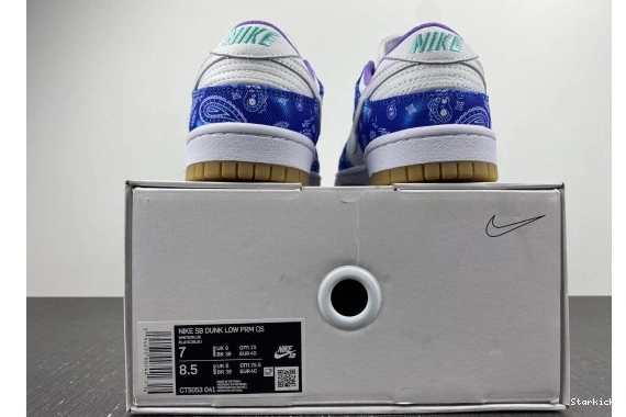 Blue Purple Navy CT5053-041 Nike Dunk White SB Low 0917